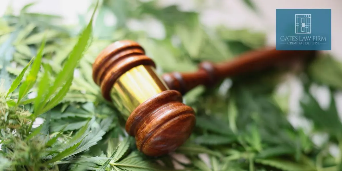 Jacksonville Marijuana Possession Lawyer